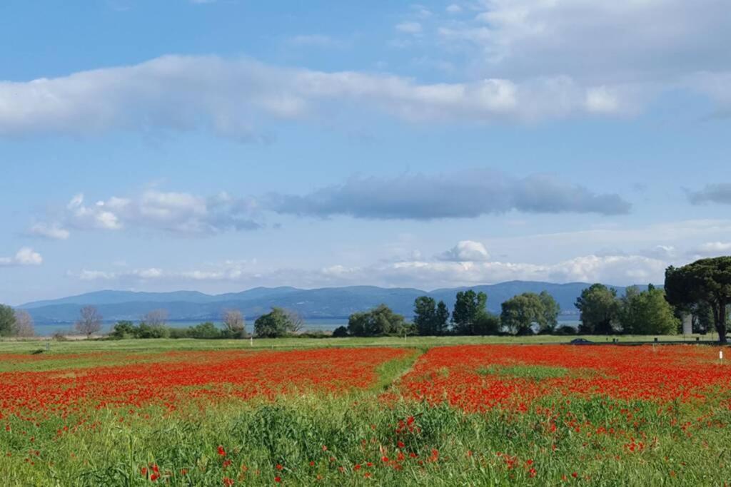 Bellavista La Tua Romantica Vacanza Sul Trasimeno Apartment Кастильоне дел Лаго Екстериор снимка