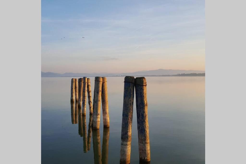 Bellavista La Tua Romantica Vacanza Sul Trasimeno Кастильоне дел Лаго Екстериор снимка