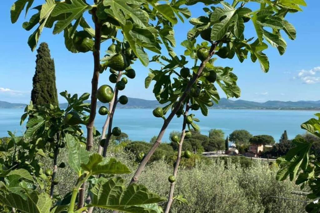 Bellavista La Tua Romantica Vacanza Sul Trasimeno Apartment Кастильоне дел Лаго Екстериор снимка