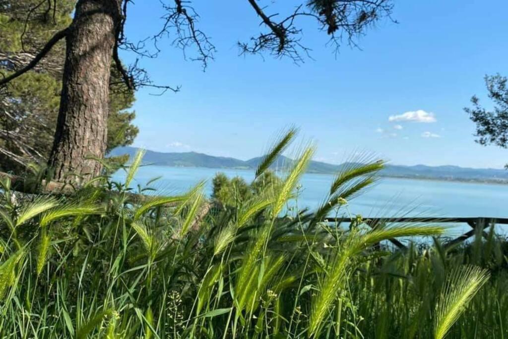 Bellavista La Tua Romantica Vacanza Sul Trasimeno Apartment Кастильоне дел Лаго Екстериор снимка