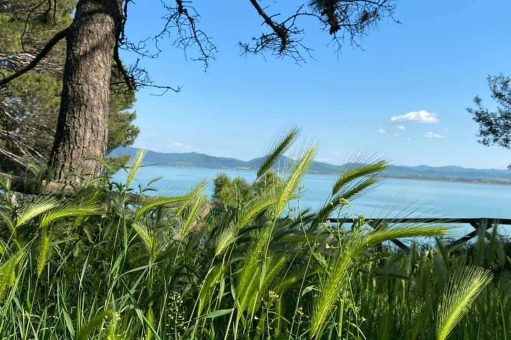 Bellavista La Tua Romantica Vacanza Sul Trasimeno Кастильоне дел Лаго Екстериор снимка