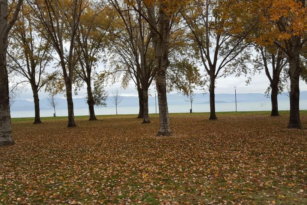 Bellavista La Tua Romantica Vacanza Sul Trasimeno Кастильоне дел Лаго Екстериор снимка