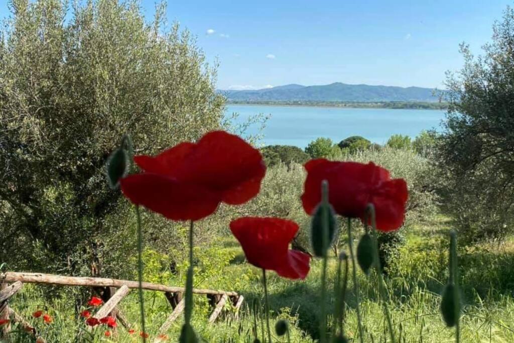 Bellavista La Tua Romantica Vacanza Sul Trasimeno Apartment Кастильоне дел Лаго Екстериор снимка