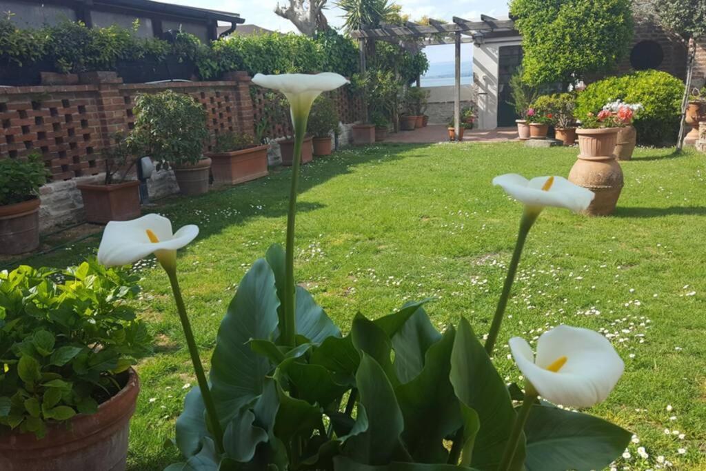 Bellavista La Tua Romantica Vacanza Sul Trasimeno Кастильоне дел Лаго Екстериор снимка