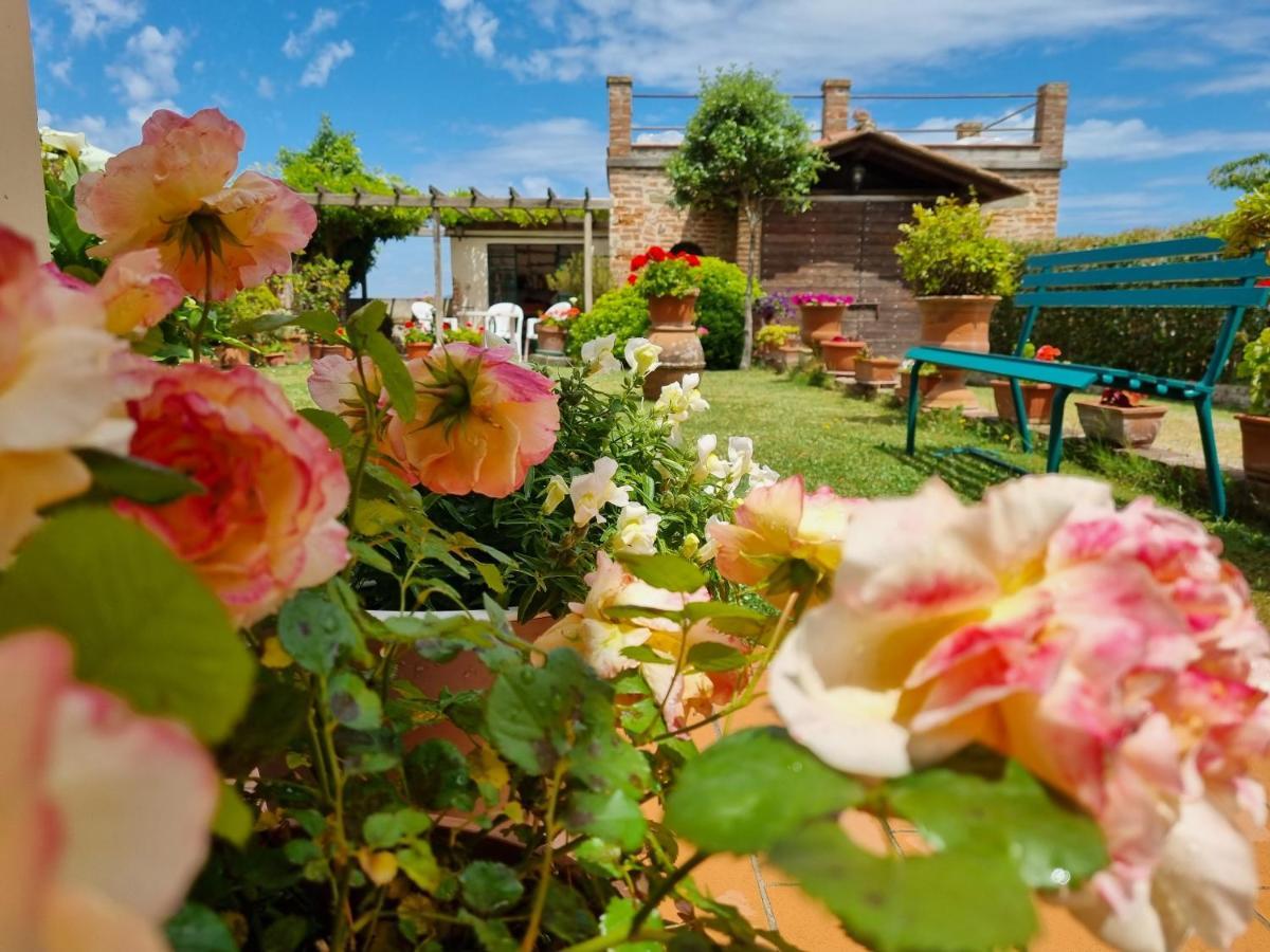 Bellavista La Tua Romantica Vacanza Sul Trasimeno Кастильоне дел Лаго Екстериор снимка