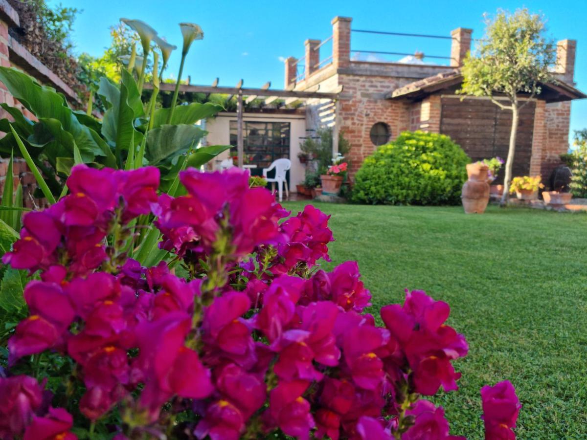 Bellavista La Tua Romantica Vacanza Sul Trasimeno Кастильоне дел Лаго Екстериор снимка